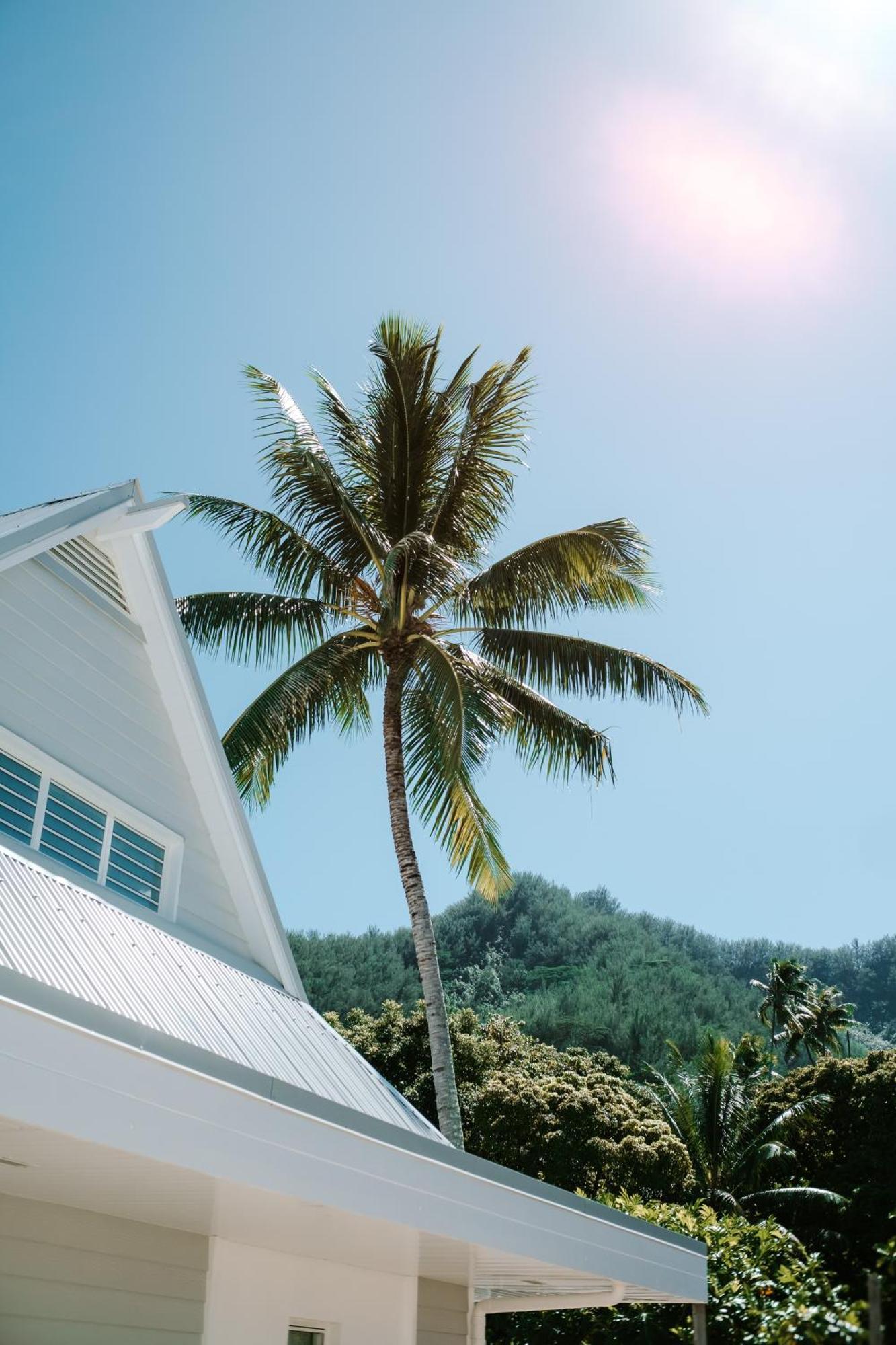 Niu Beach Hotel Moorea Zewnętrze zdjęcie